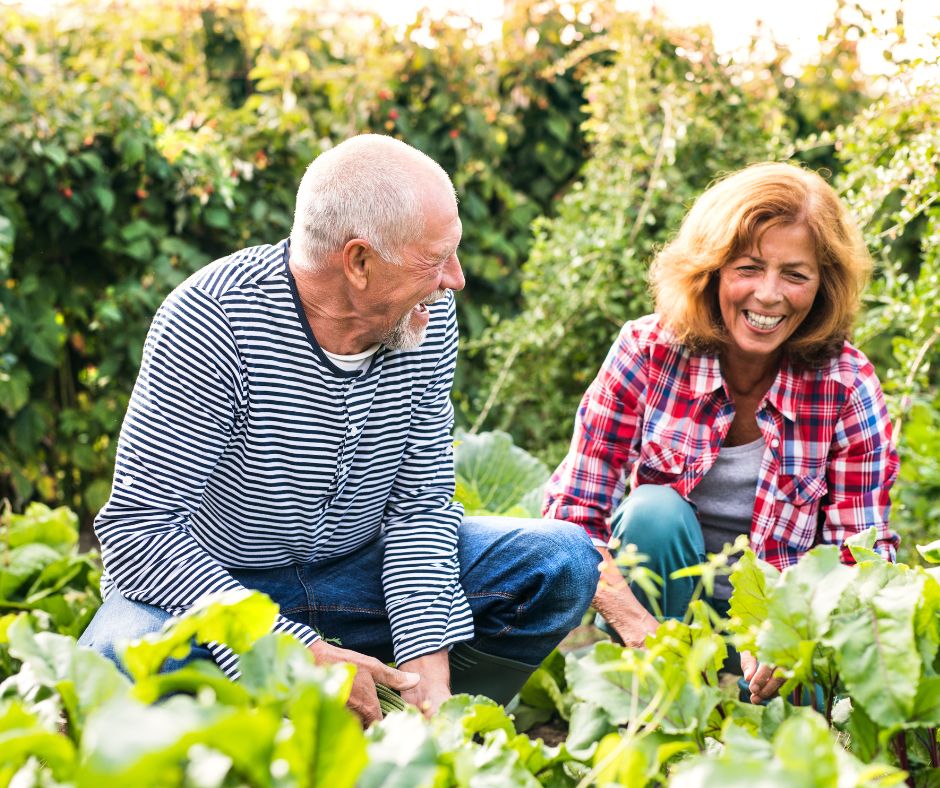 A senior couple enjoying a sunny day in a spring garden together.