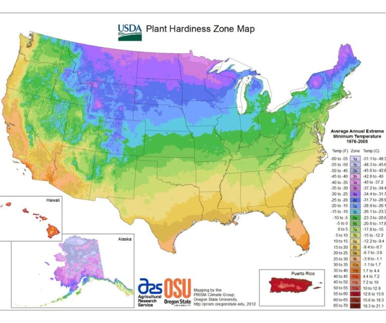 USDA Plant Hardiness Zone Map showing the best growing zones for garden plants.
