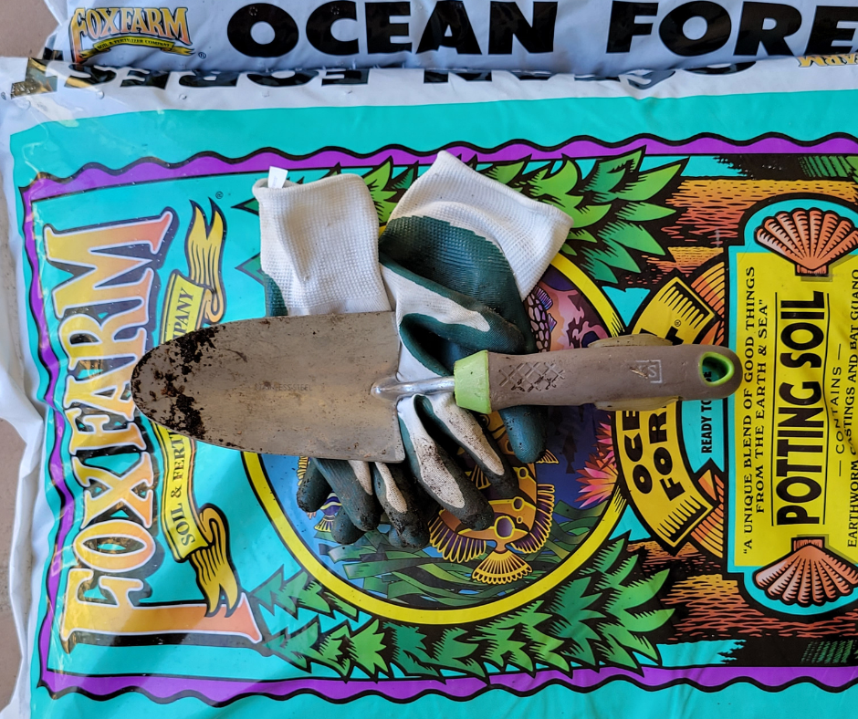 When you grow collards in containers it is important to use high quality potting mix Foxfarm potting soil bag with a garden trowel and gloves on top.