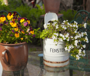 An old can and clay pitcher with small blooming plants placed inside them.