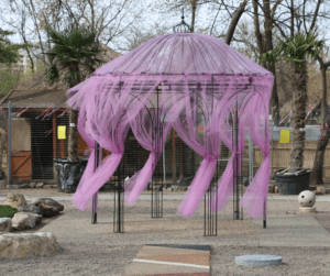 Pergolas draped with gauzy pink fabric for a special occasion.  