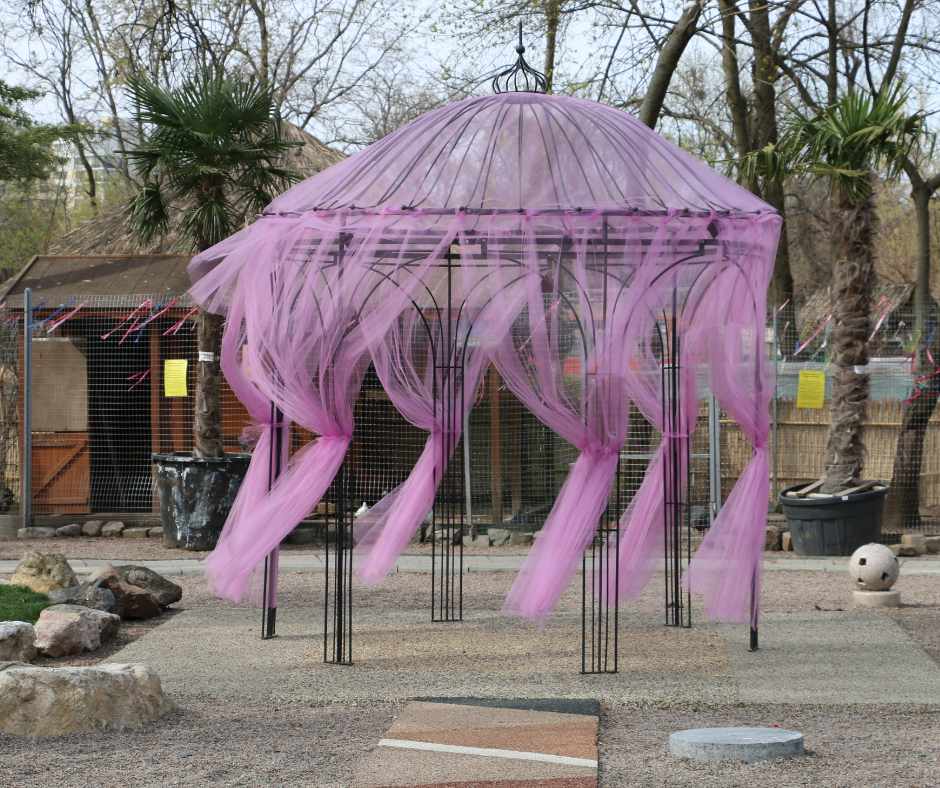 Pergolas draped with gauzy pink fabric for a special occasion.