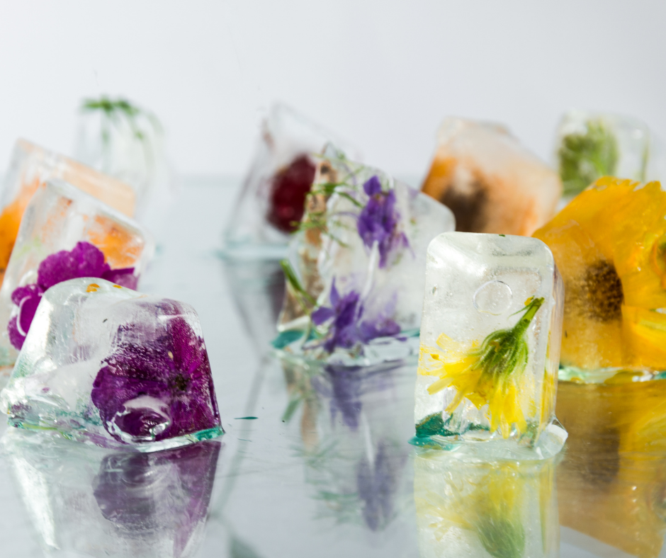 Calendula petals and other edible flowers frozen in ice cubes for cool summertime drinks.