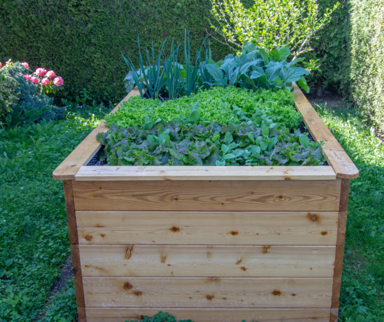 raised garden bed diy