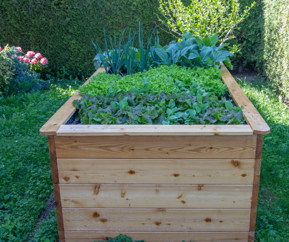 raised garden bed diy