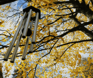 Metal wind chimes hanging from a tree with yellow fall leaves.