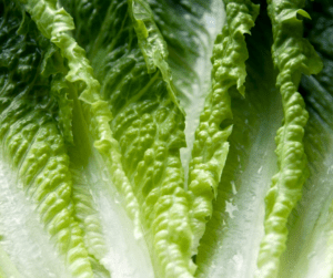 Enjoy fresh crisp lettuce from your backyard.