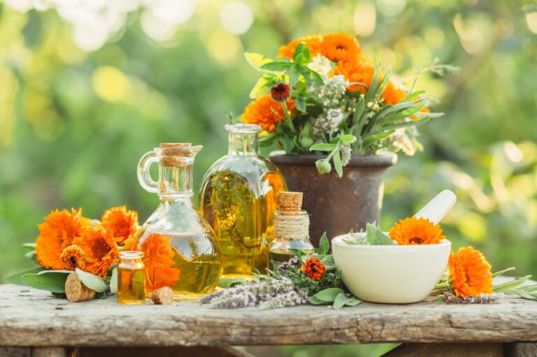 Fresh picked calendula flowers and other herbs