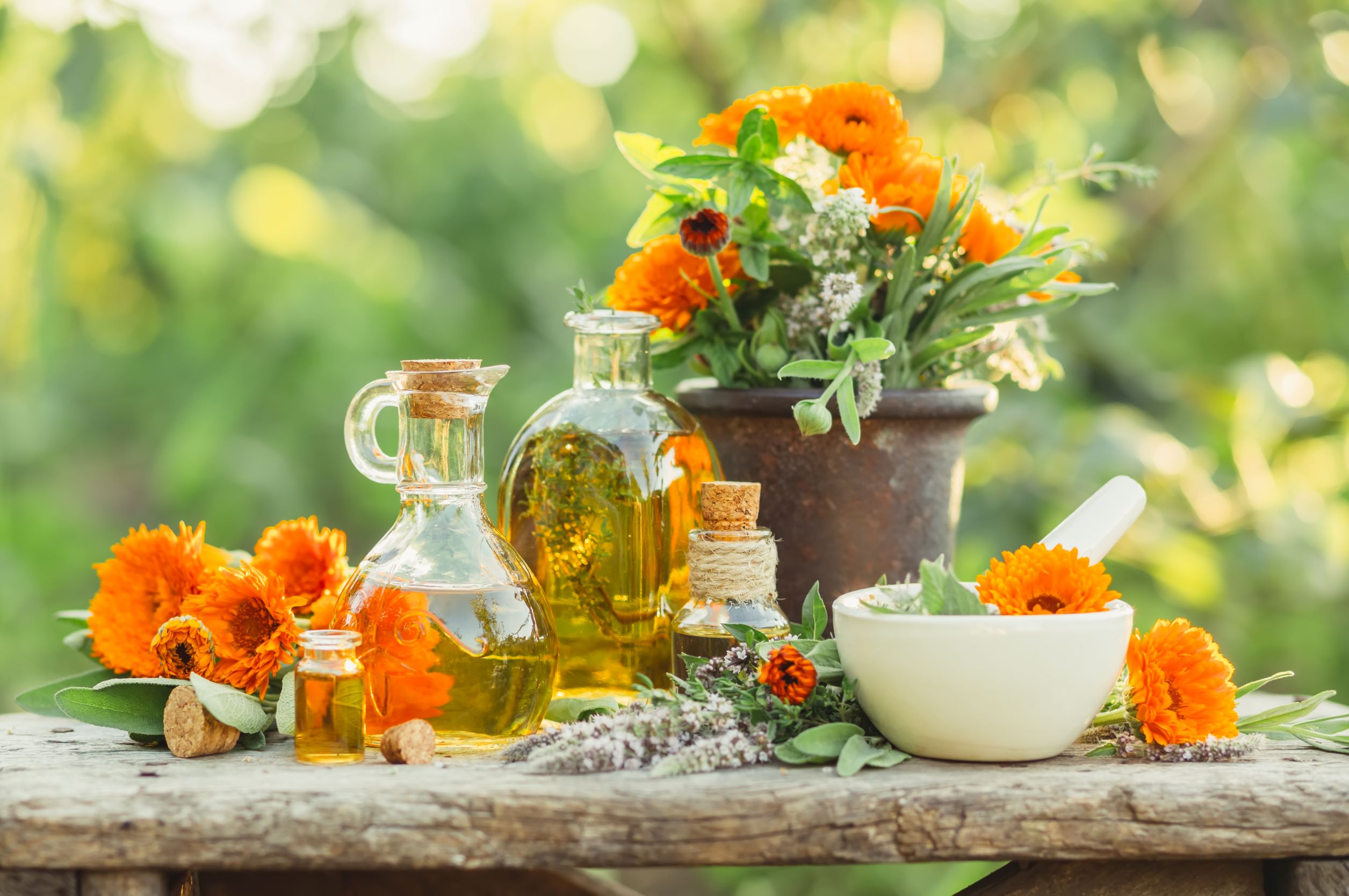 Fresh picked calendula flowers and other herbs