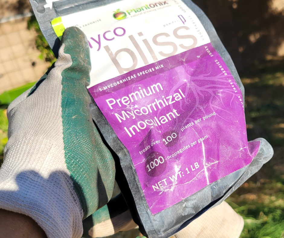 Help your plants absorb nutrients and survive extremes weather unscathed by applying mycorrhizal fungi to your soil.  One of the most important soil amendments.