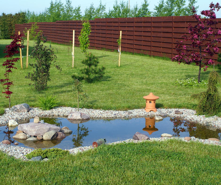 A small shallow backyard pond can be hard to manage