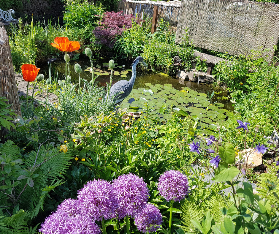 A lush healthy garden and pond.