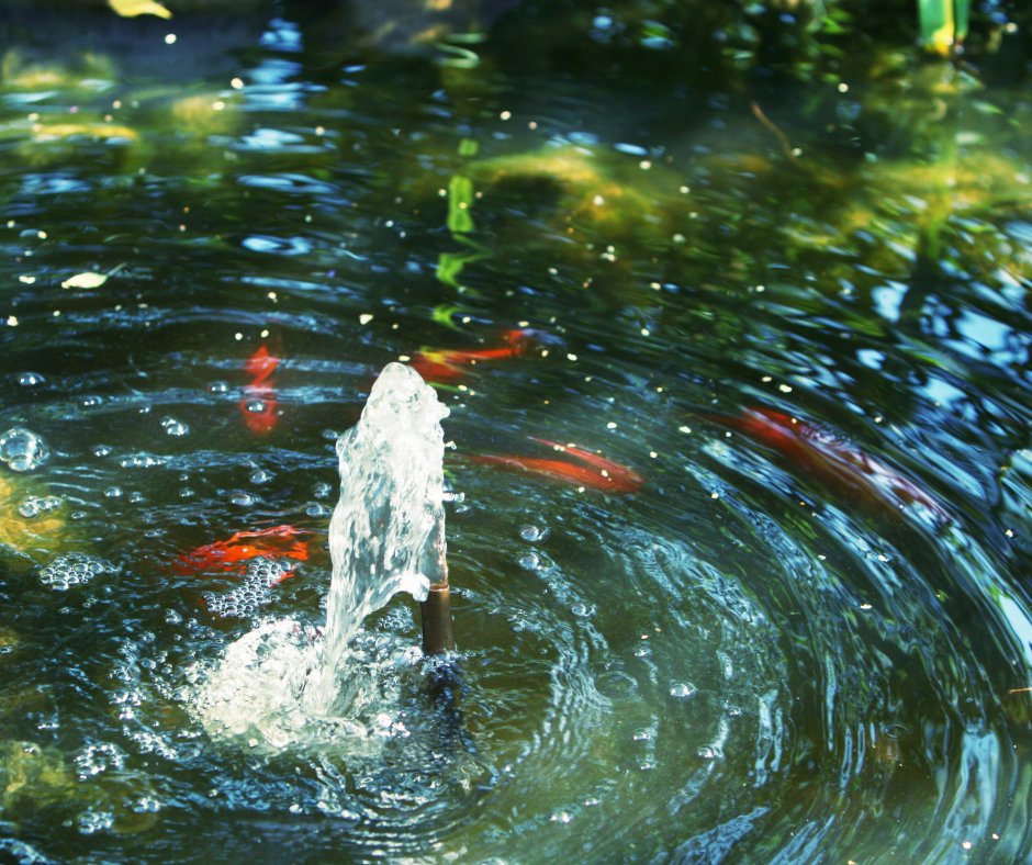 Simple pond fountain and fish.