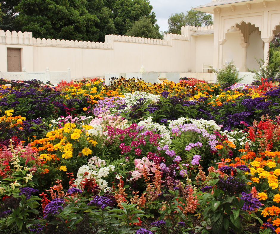 A wonderful planting of a wide variety of flowers can protect your fruit from birds and attract beneficial insects.
