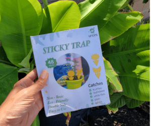 Yellow sticky traps are a great natural pest control method for indoor and outdoor plants.