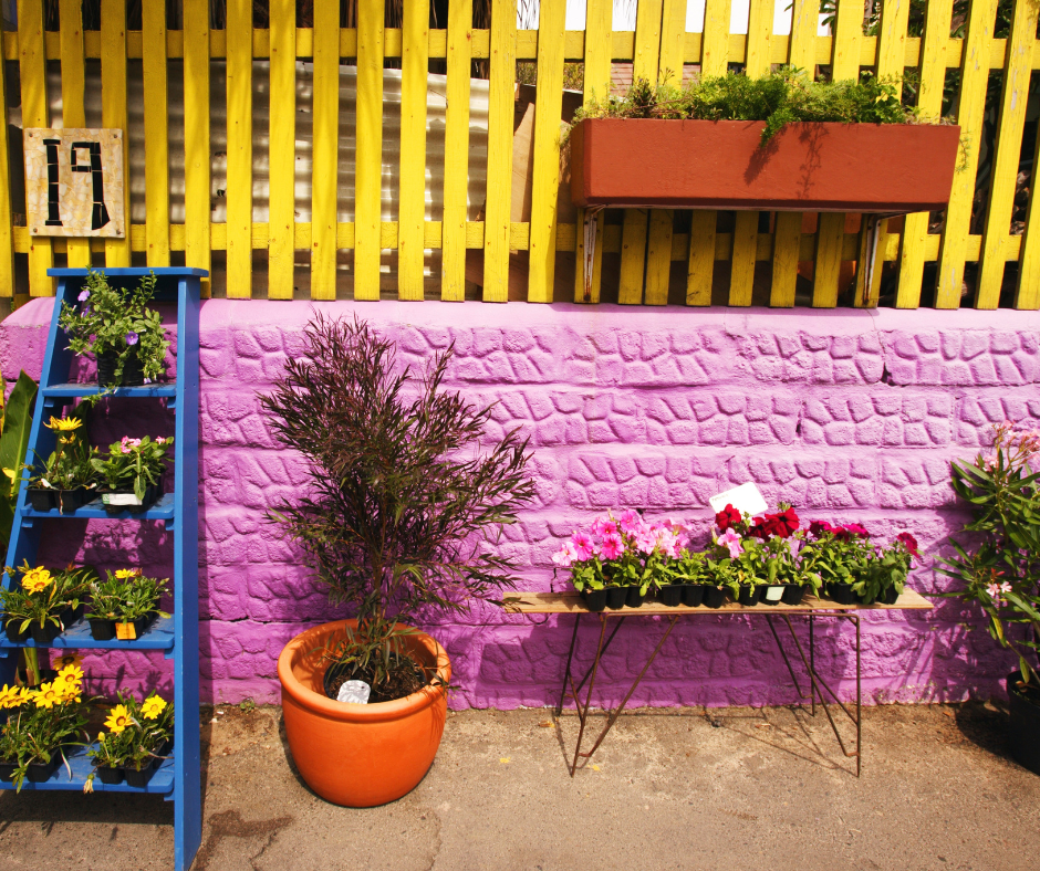 Bright colors and a variety of plants make this small container garden exciting.