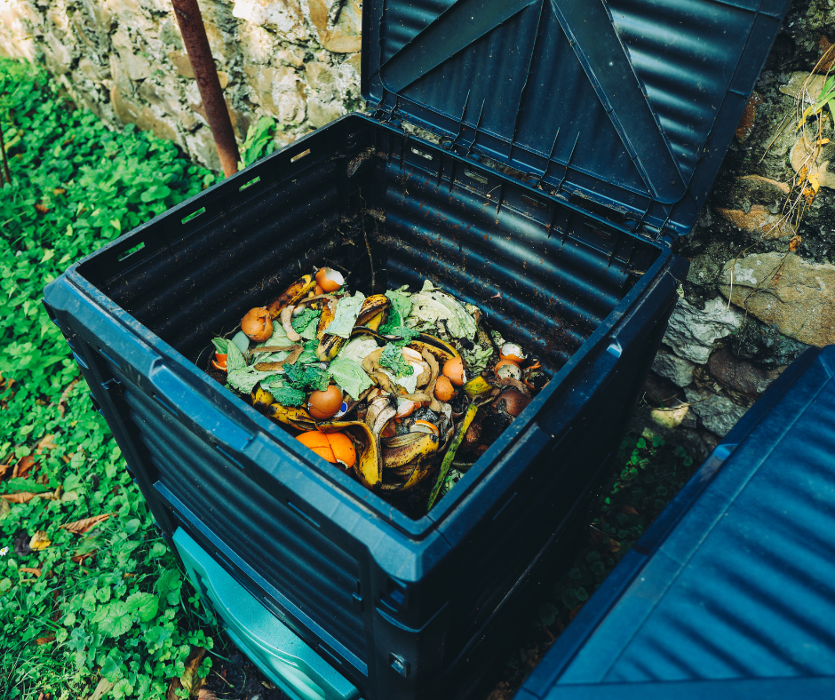 Compost bin with fresh kitchen wasted added.