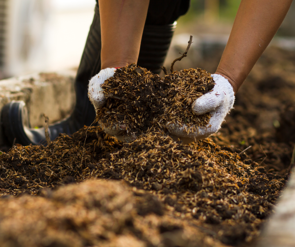 Handfuls of rich compost being harvested from a compost bin.