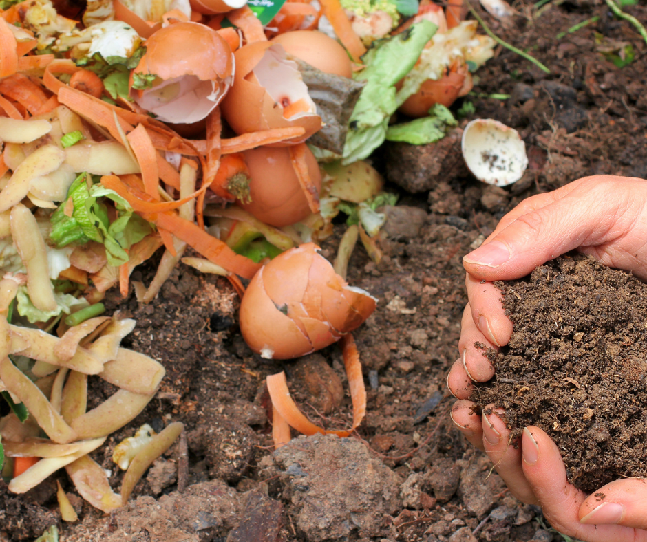 Composting transforms kitchen scraps into nutrient rich compost for your garden.