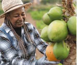 Gardener joyfully gathering her papaya harvest!