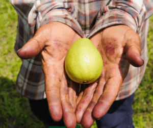 Garden books to help you grow a pear like this one!