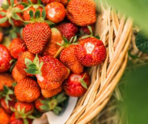 A basket of freshly picked garden strawberries.