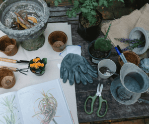 A gardener using a book to pot up plants properly.