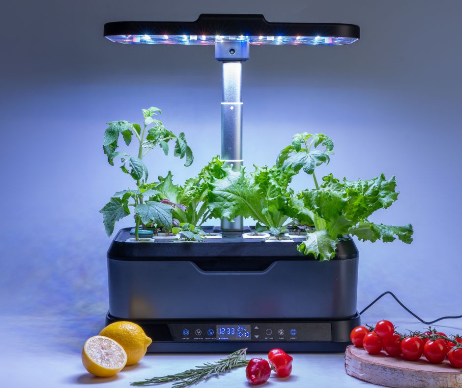 An indoor hydroponic grow kits with a light and plants growing in it.