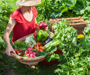 Planing a garden with companion gardening in mind will lead to bountiful harvests.