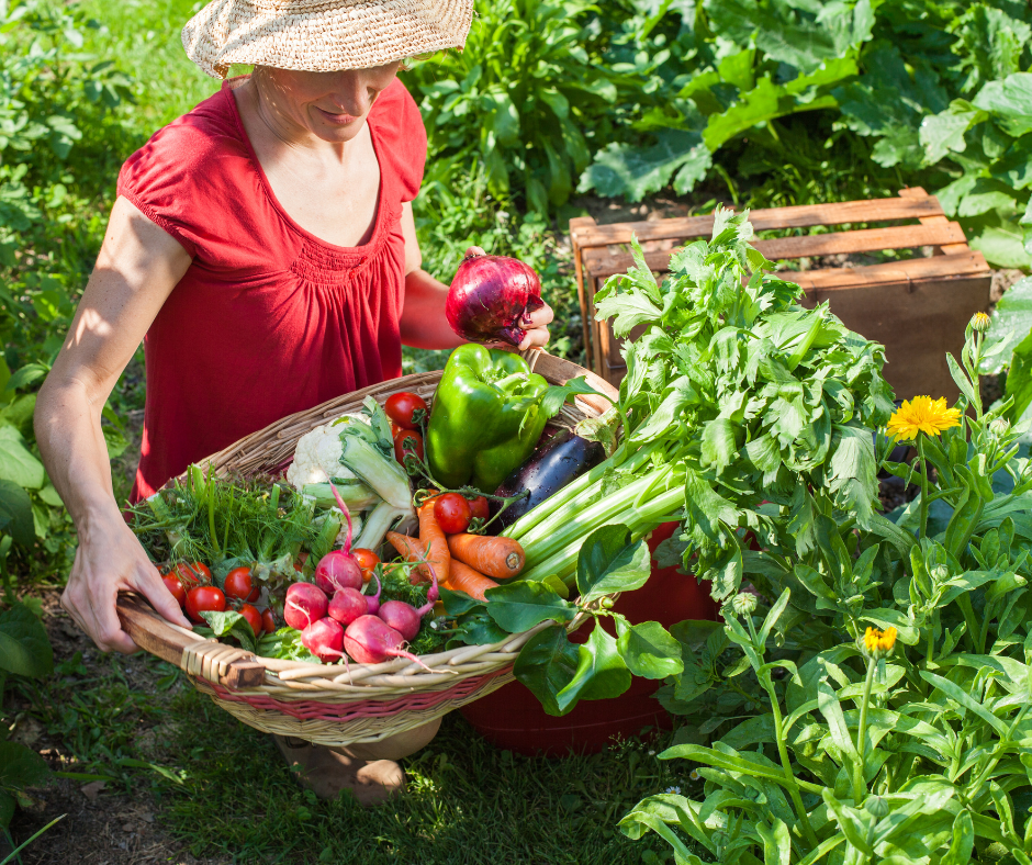 Planing a garden with companion gardening in mind will lead to bountiful harvests.