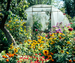 DIY garden projects are fun and useful like this greenhouse.