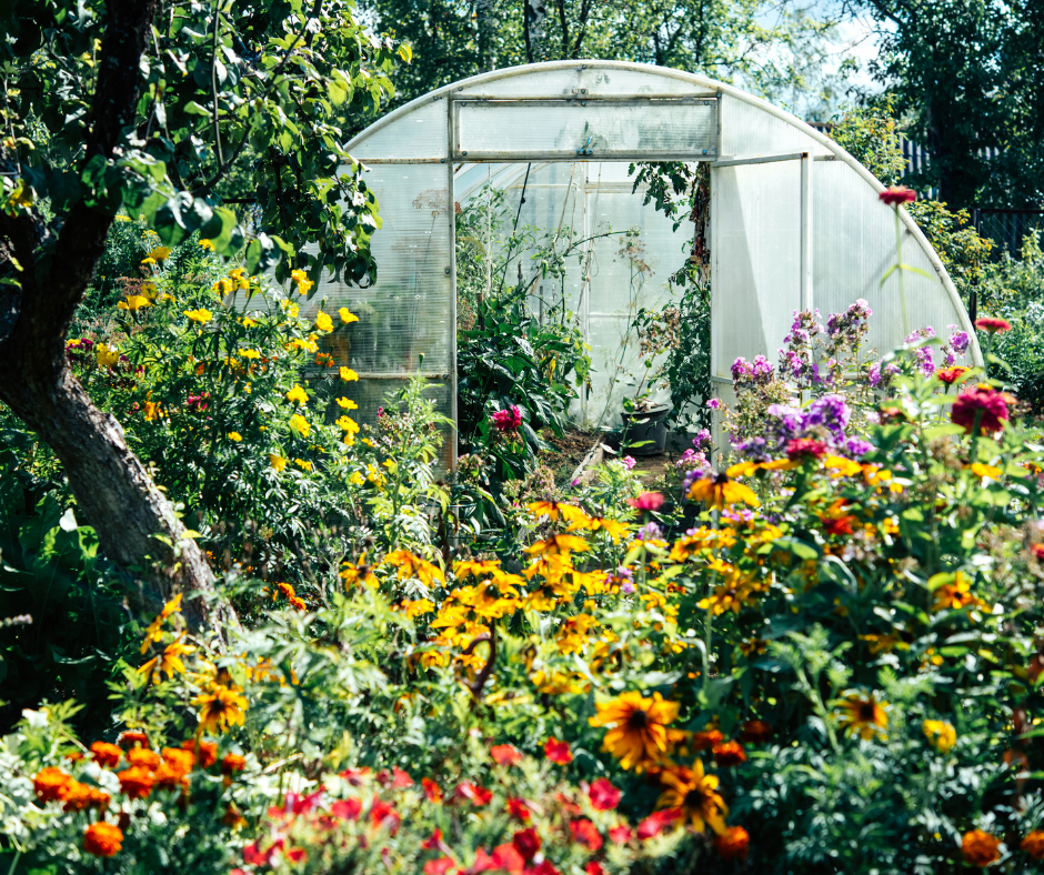 DIY garden projects are fun and useful like this greenhouse.