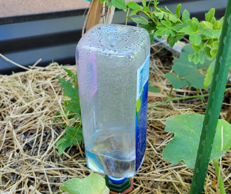 Automatic clay stake and water bottler garden watering system