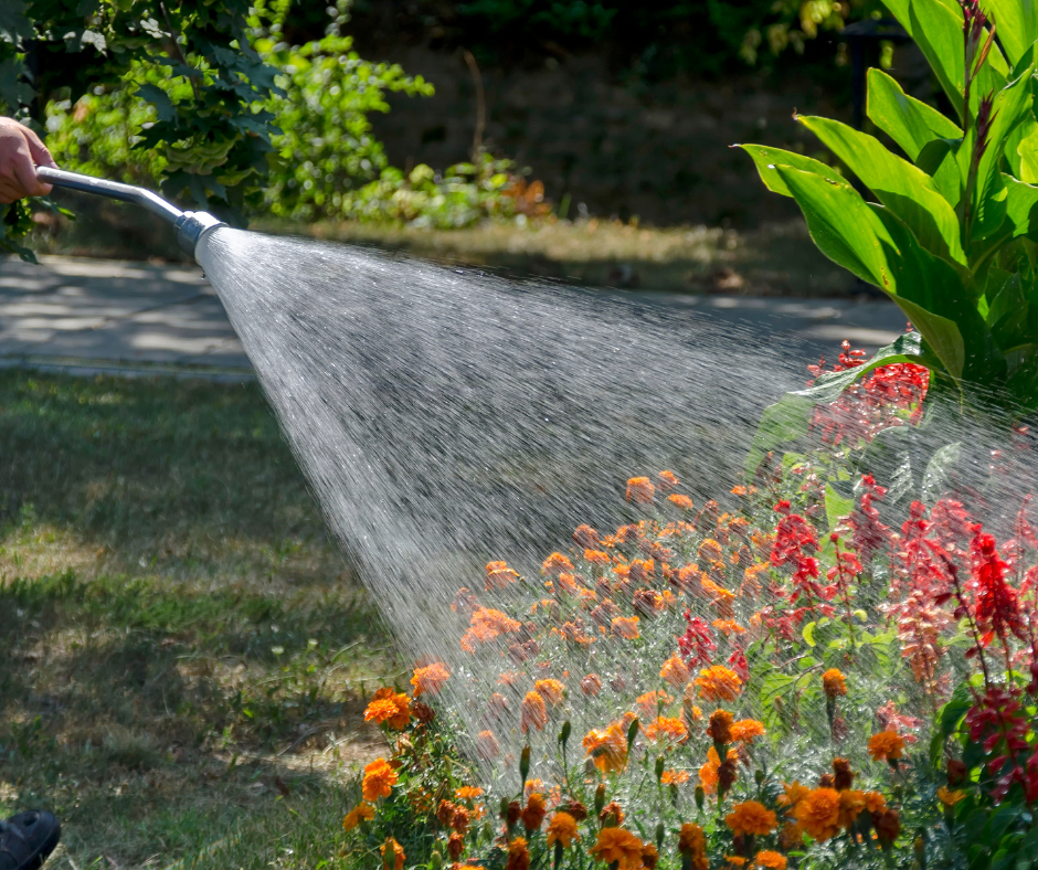 gardener watering their plants before leaving for vacation