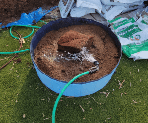 Hydrating Coconut coir and peat moss before making a good potting soil mix.