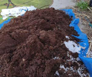 A layer of moist coconut coir added to a  large batch of container soil mix