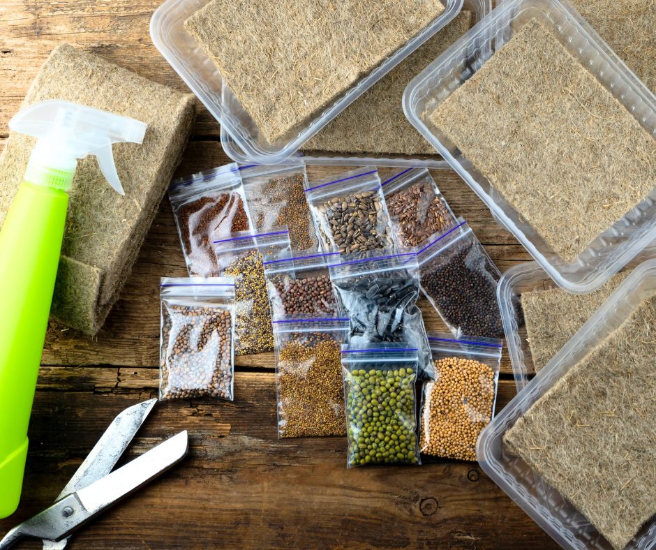 a microgreens growing kit complete with grow trays, mats, seeds, a mister and microgreen seeds.