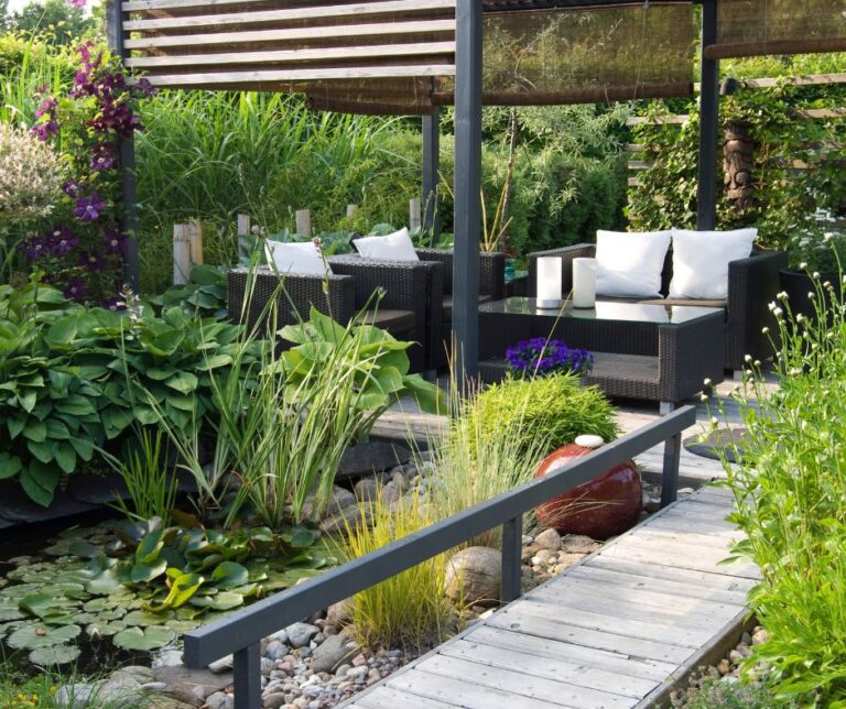 modern style backyard pond