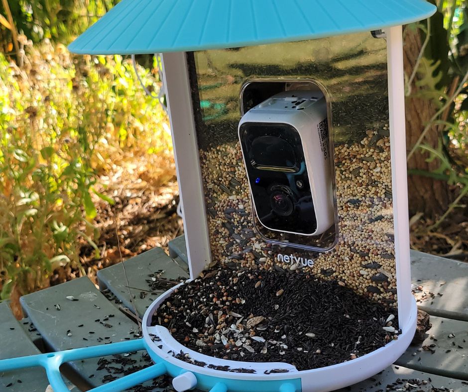 One of the best bird feeder camera set up if you don't have squirrels. Large  Netvue bird feeder with camera on a chair.