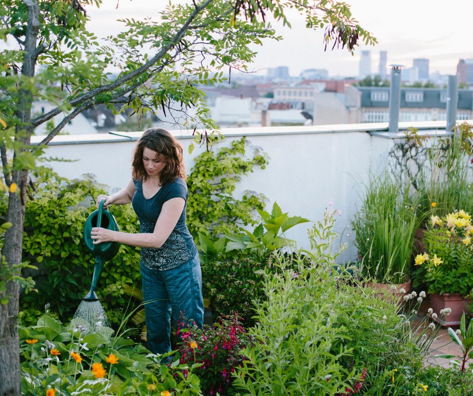 A woman watering a lush rooftop garden of container plants.