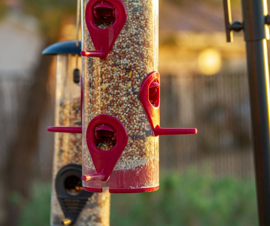 A garden Shepard's hook with tube bird feeders of various colors