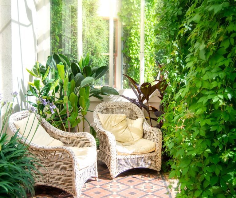 How To Use Potted Plants For Privacy On A Patio