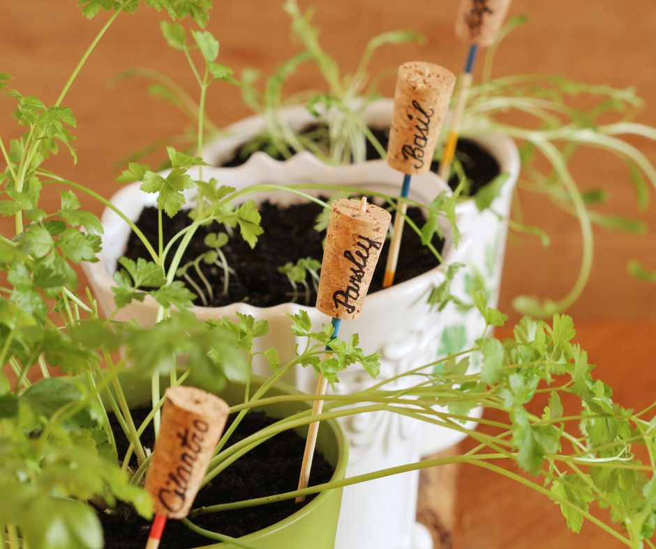 Homemade cork plant markers in herb plant pots. A quick easy homemade decor idea.