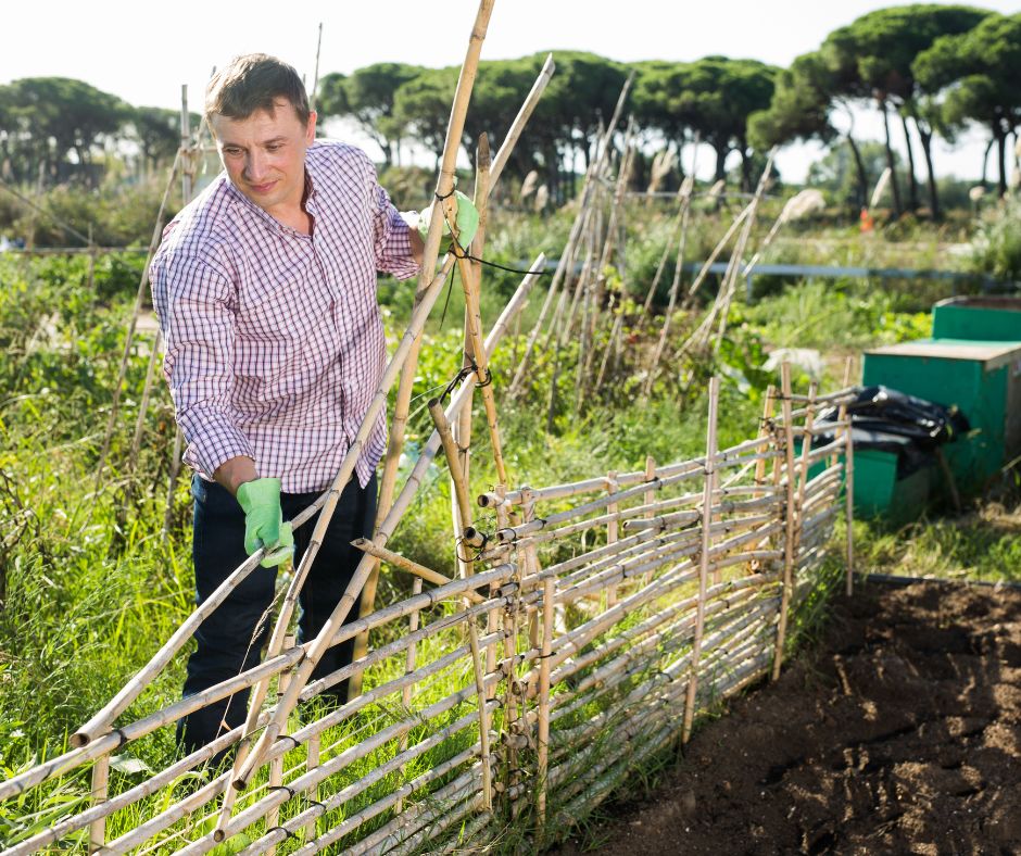 A garden building a garden wall and trellis system with branches. trellis ideas for the garden.

