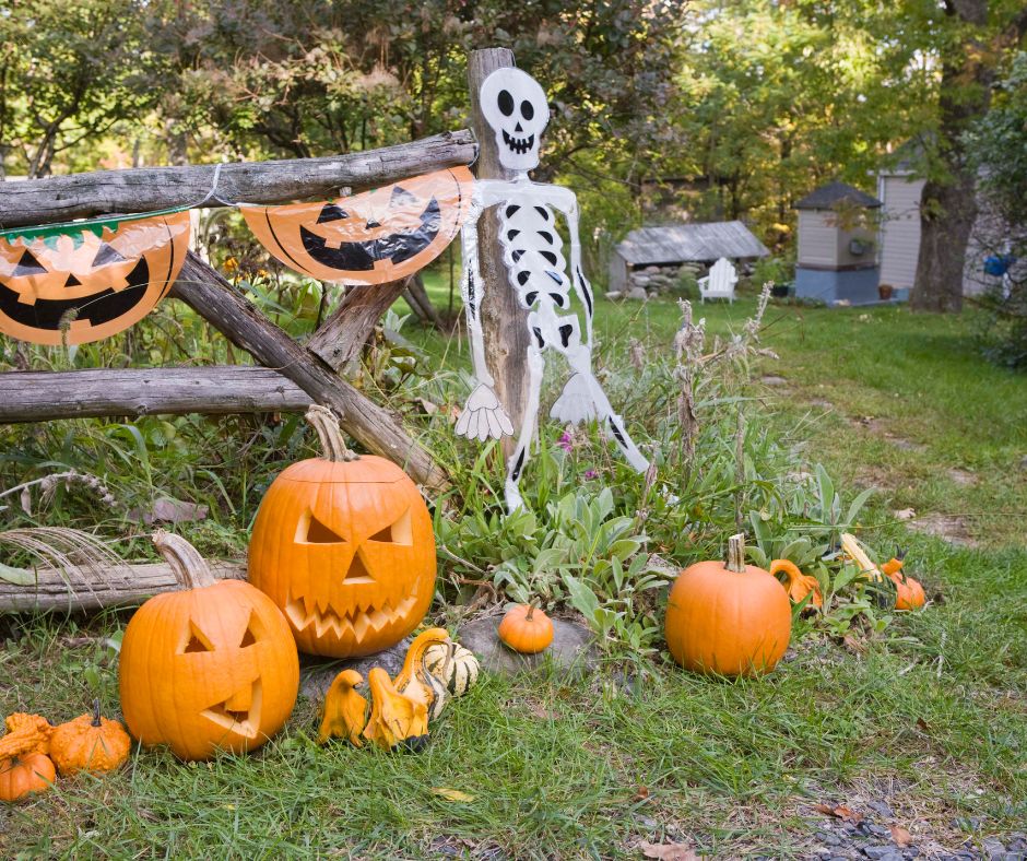 A simple set up of classic Halloween decorations of carved pumpkins, gourds and a skeleton.