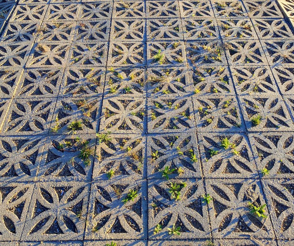 Breeze Blocks used as garden pavers.