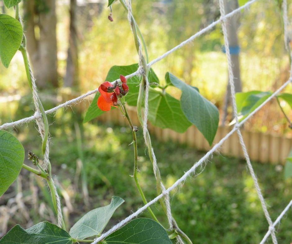 Sometimes a simple support works best.