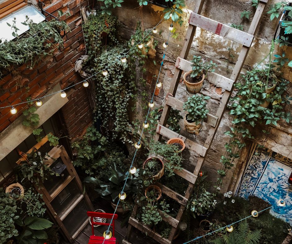A ladder repurposed as a trellis and plant stand.