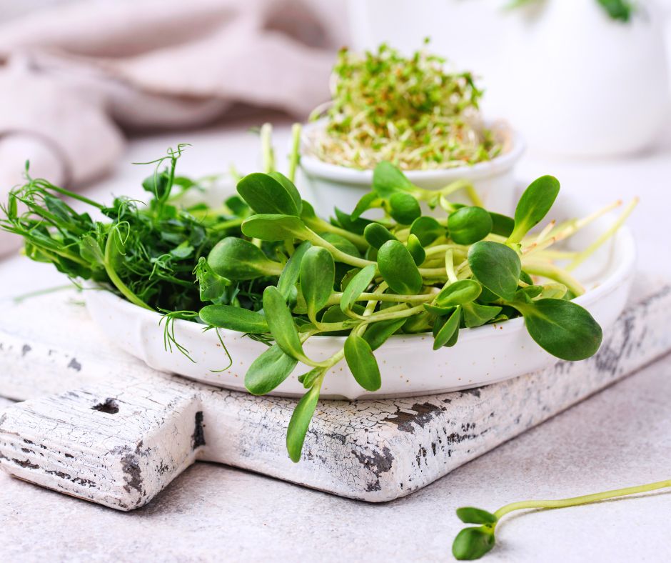 Sunflower and Pea shoots paired with alfalfa sprouts on a serving tray.