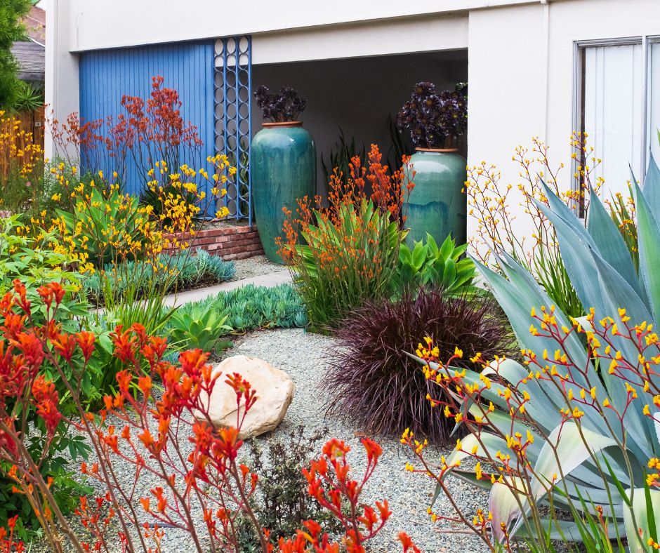 A natural southwest garden full of hummingbird attracting yellow and orange flowers.